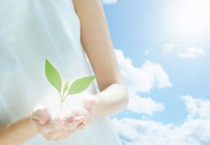 Cord blood banks   Yinfeng Biological Group.,LTD